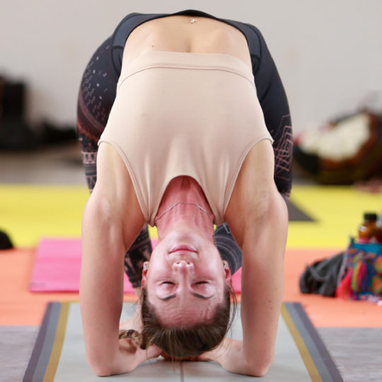 /assets/www.globalyogacongress.com/wp-content/uploads/2019/10/B3Z1604-540x540.jpg