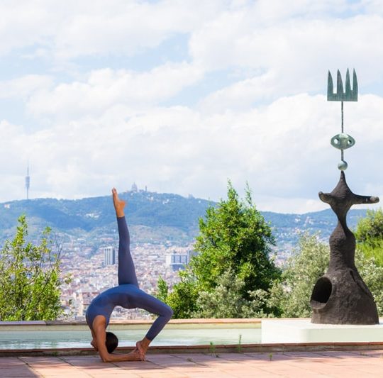 https://www.globalyogacongress.com/wp-content/uploads/2022/09/Fundacio-Miro-2-1-540x533.jpeg